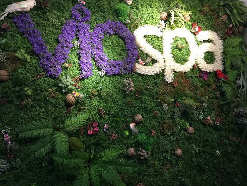 Trang trí VIO Spa