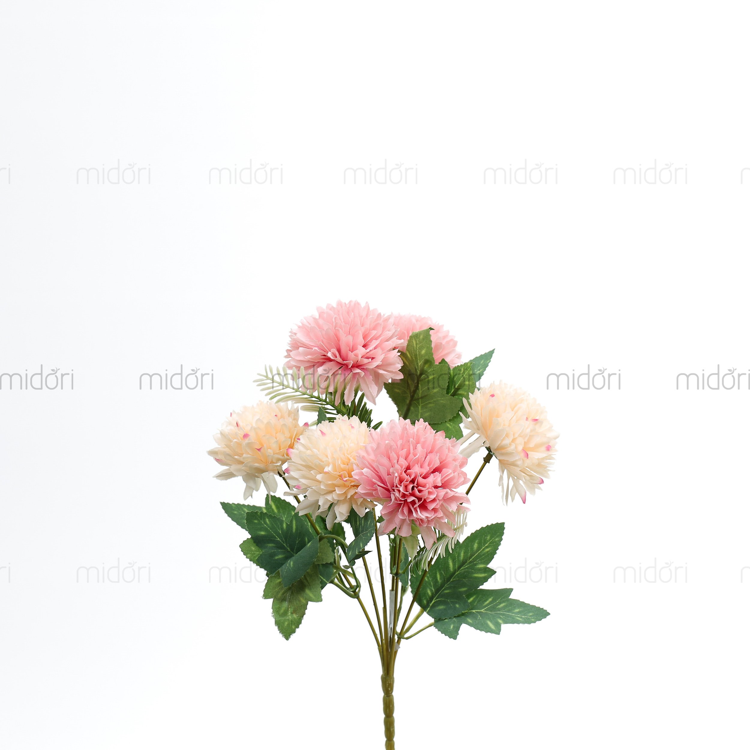 Bụi cúc tròn - RE - Ảnh 6