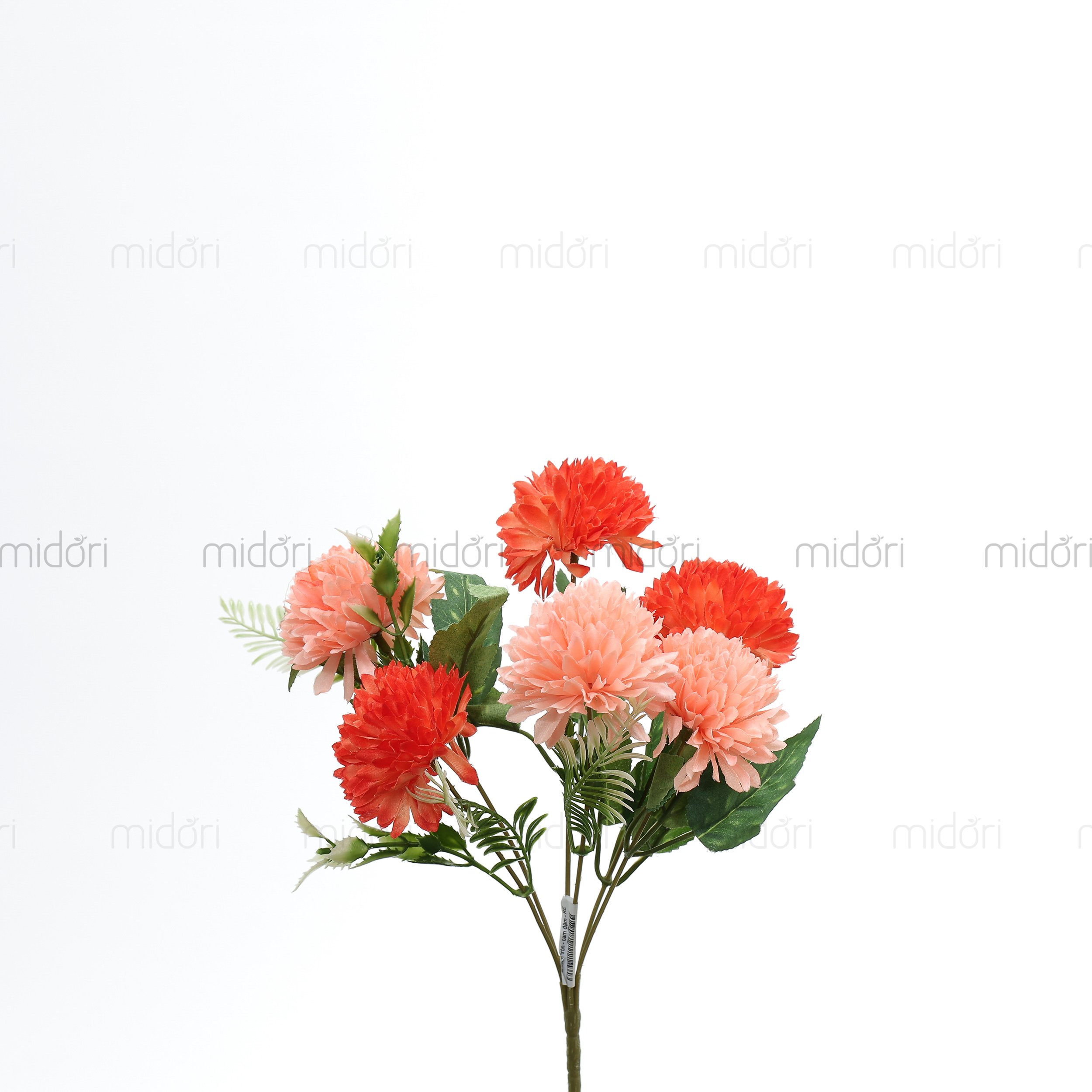 Bụi cúc tròn - RE - Ảnh 5