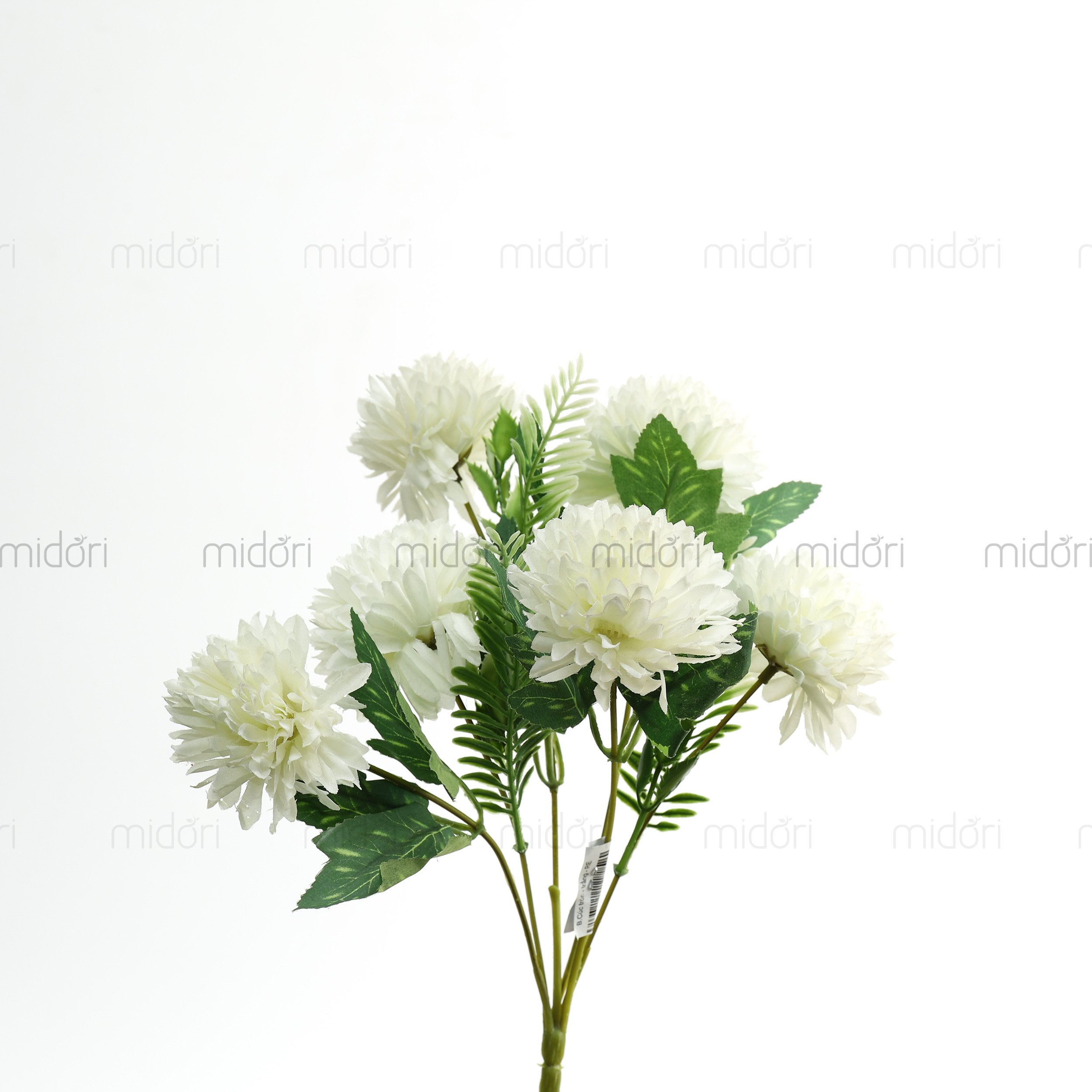 Bụi cúc tròn - RE - Ảnh 4