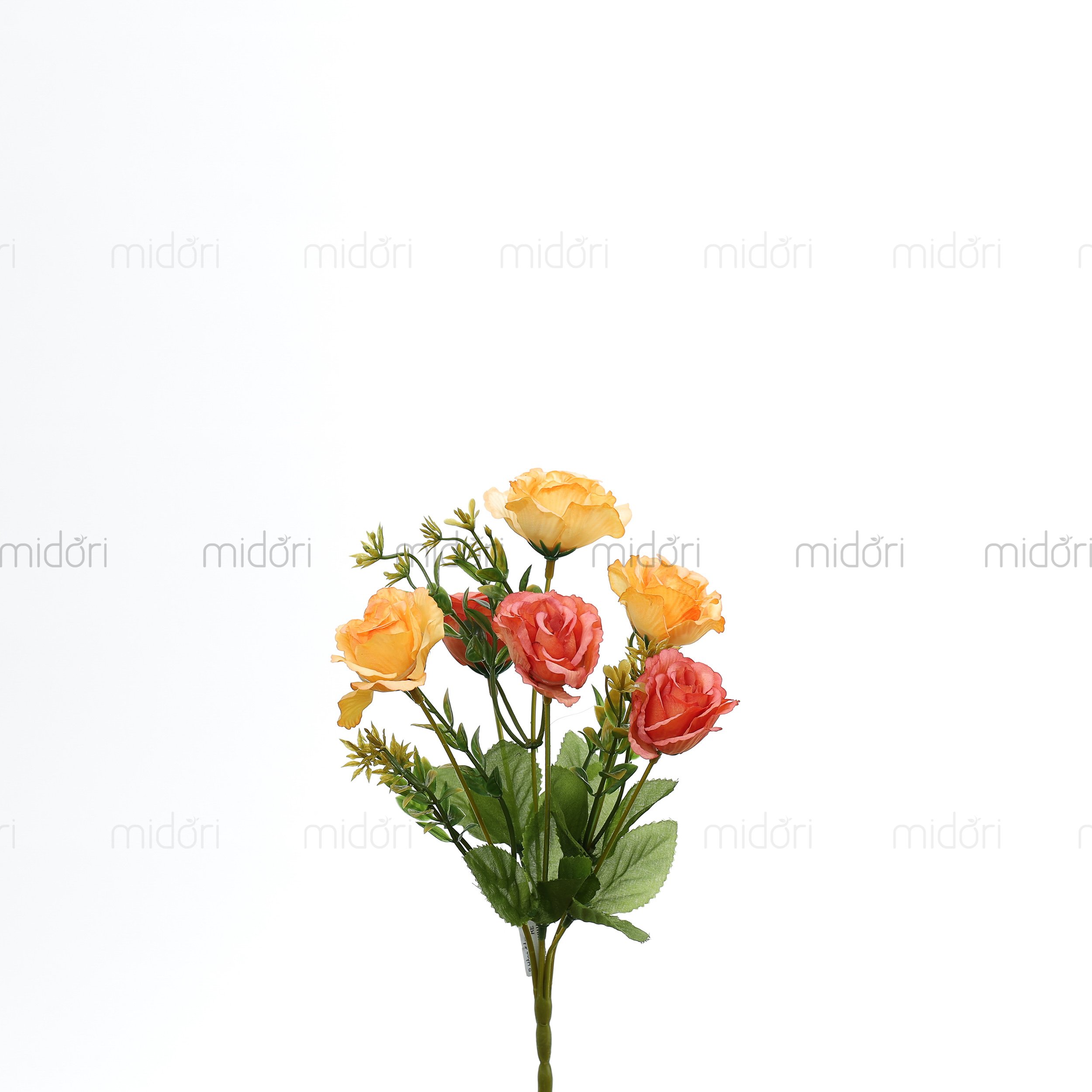 Bụi cúc tròn - RE - Ảnh 3