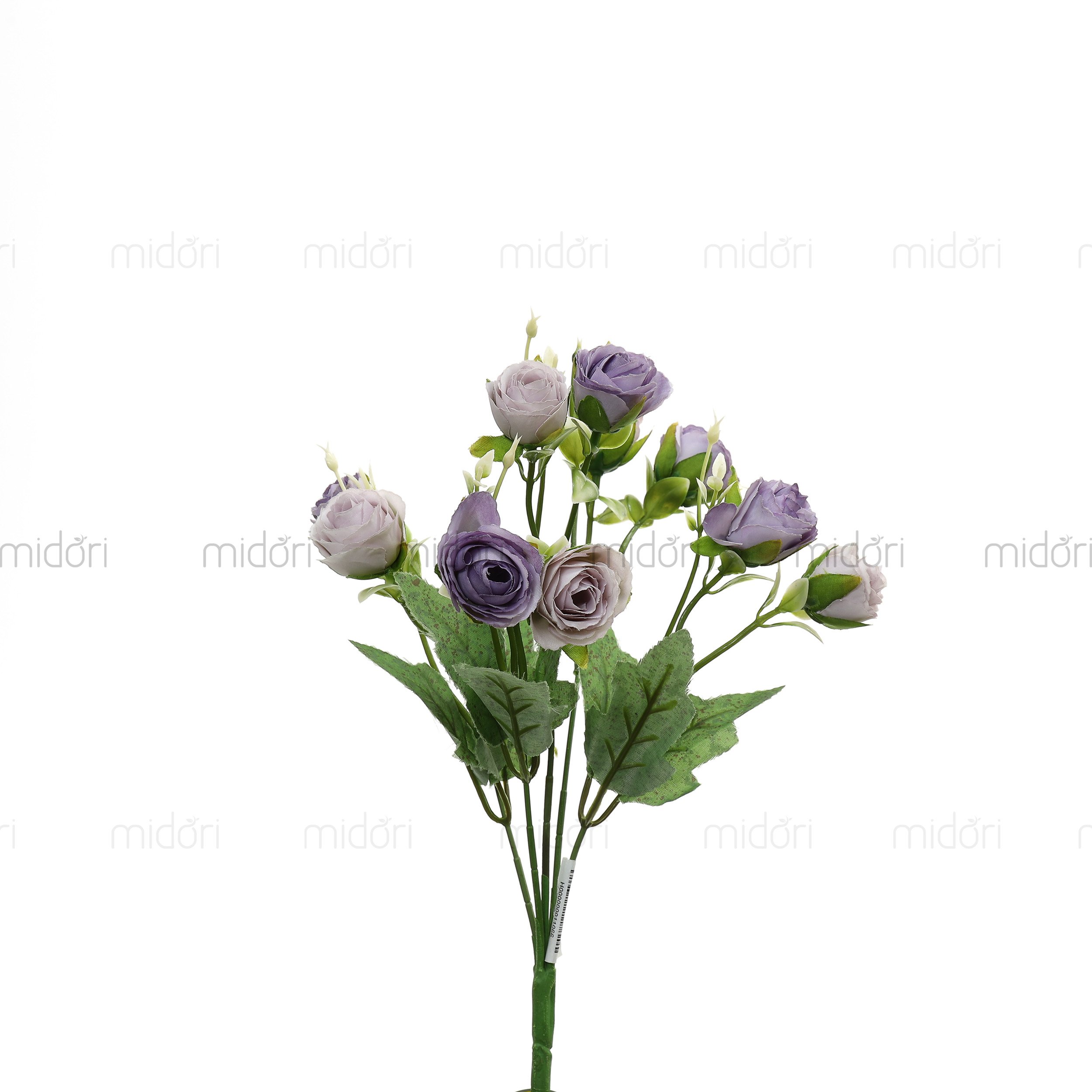 Bụi hồng 10b nhỏ - SI - Ảnh 4