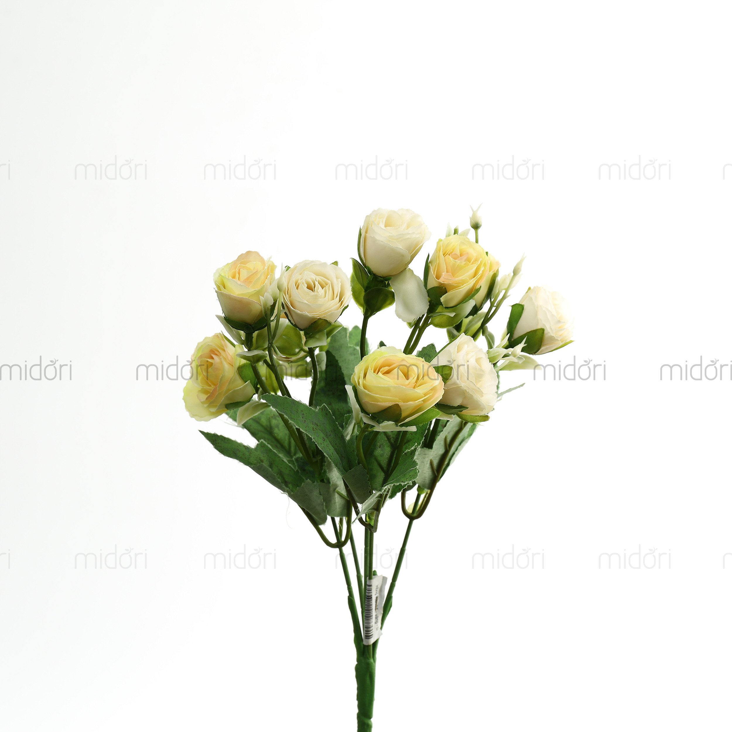 Bụi hồng 10b nhỏ - SI - Ảnh 3