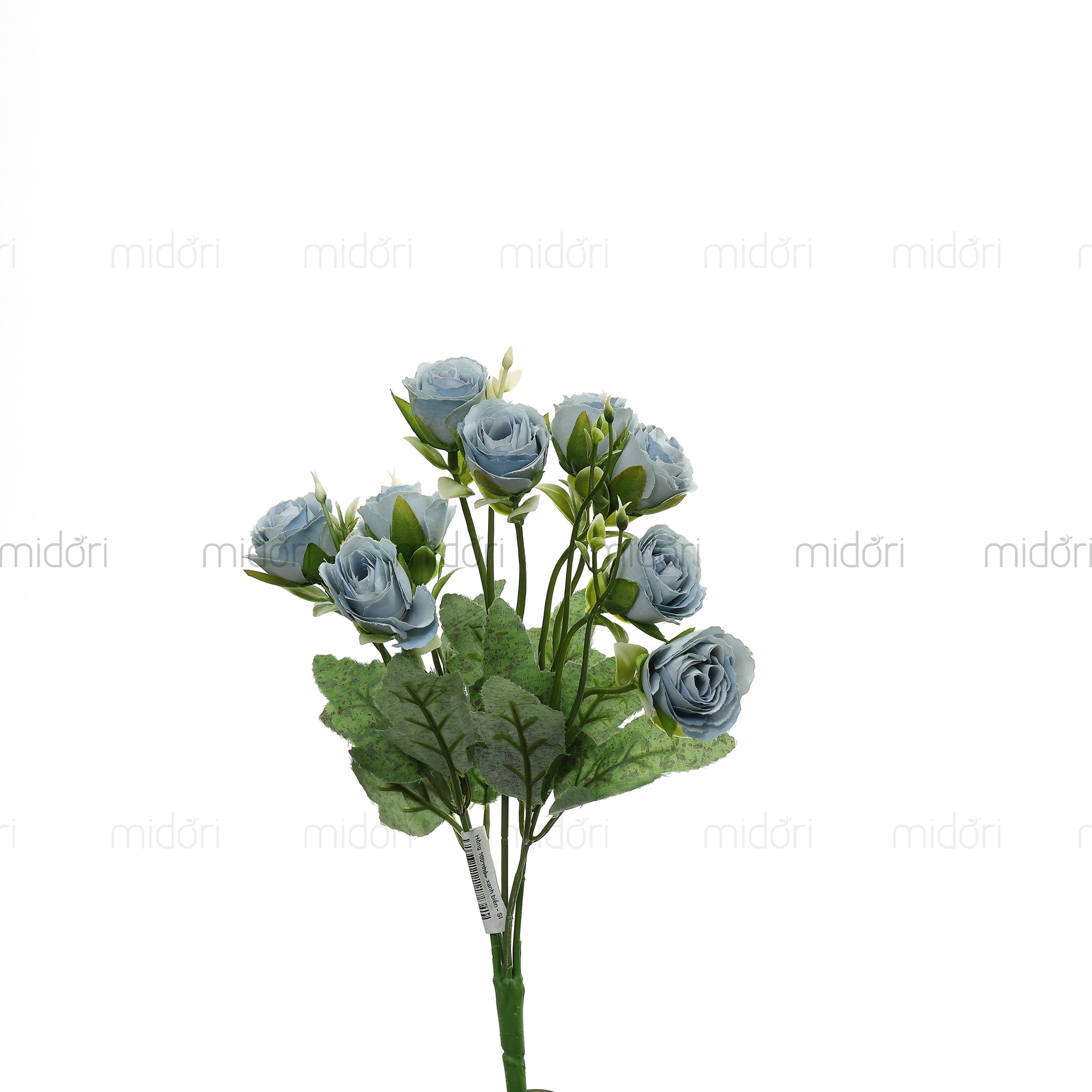Bụi hồng 10b nhỏ - SI - Ảnh 2