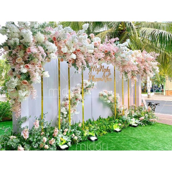 Backdrop màu trắng hồng