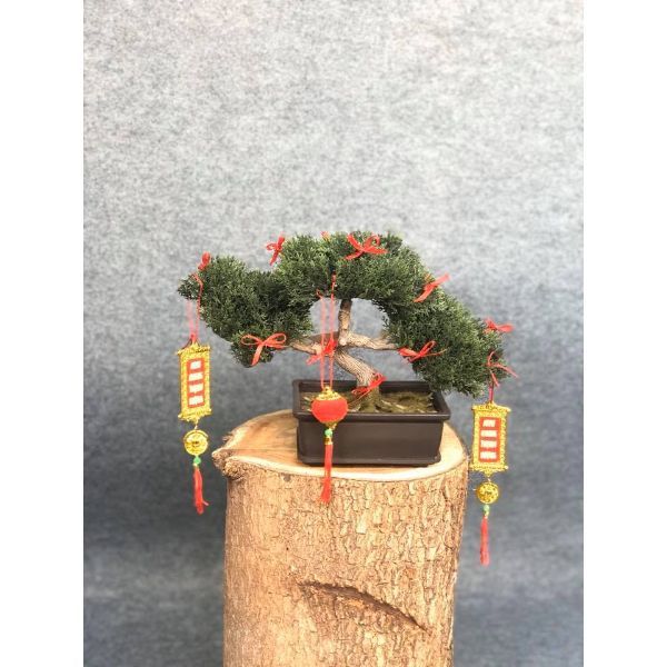 Chậu Bonsai 446 trung