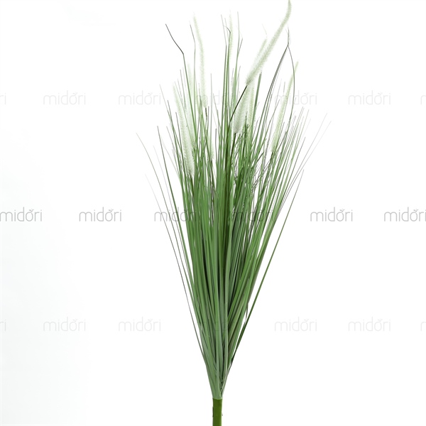Cành cỏ chồn cao 1m - MD