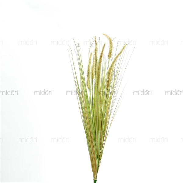Cành cỏ chồn cao 1m - MD - Ảnh 3
