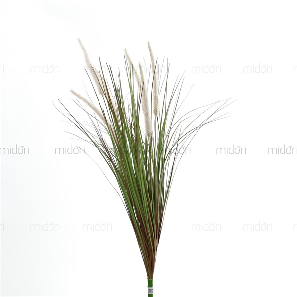 Cành cỏ chồn cao 1m - MD - Ảnh 4
