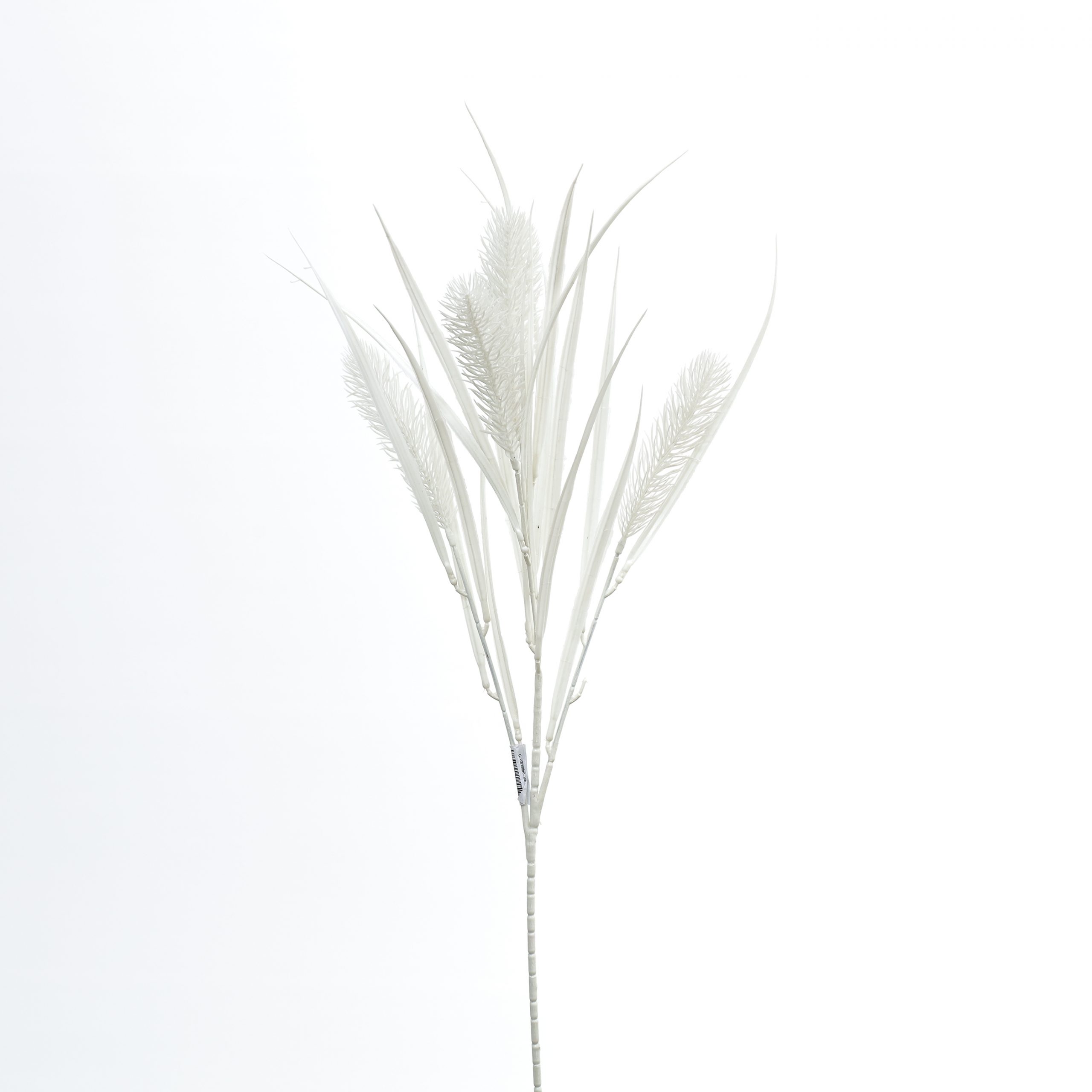 Cành cỏ chồn - RE - Ảnh 3
