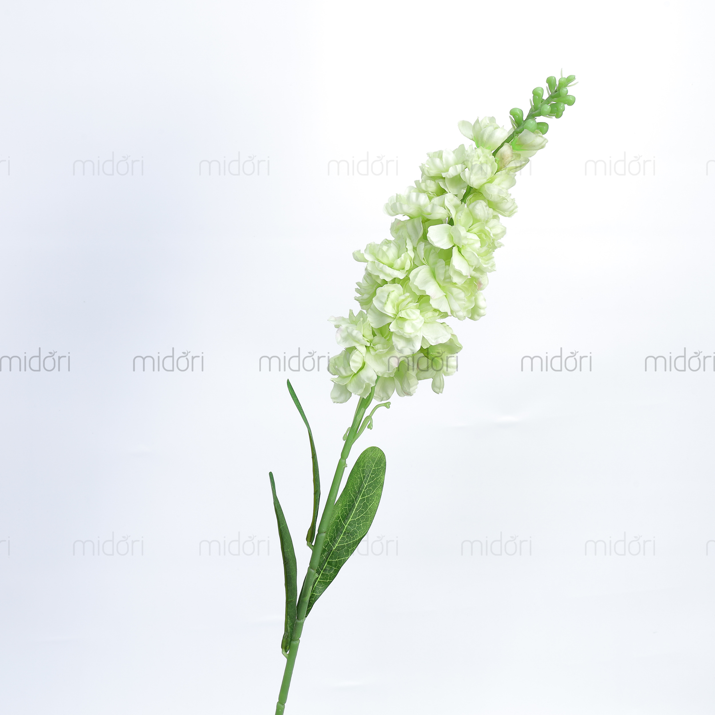 Cành phi yến 1 bông tươi - MD - Ảnh 3
