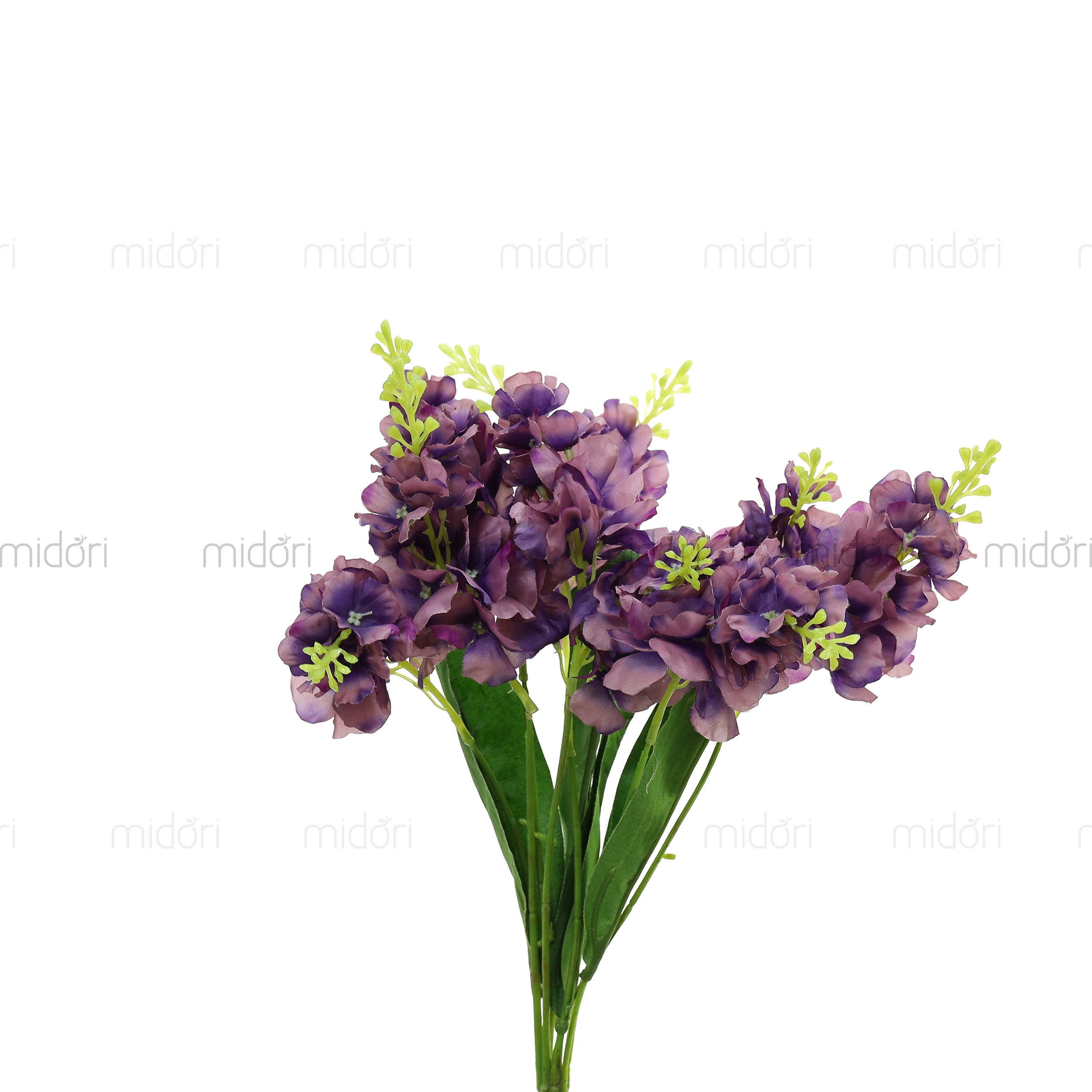 Bụi phi yến - SA - Ảnh 2