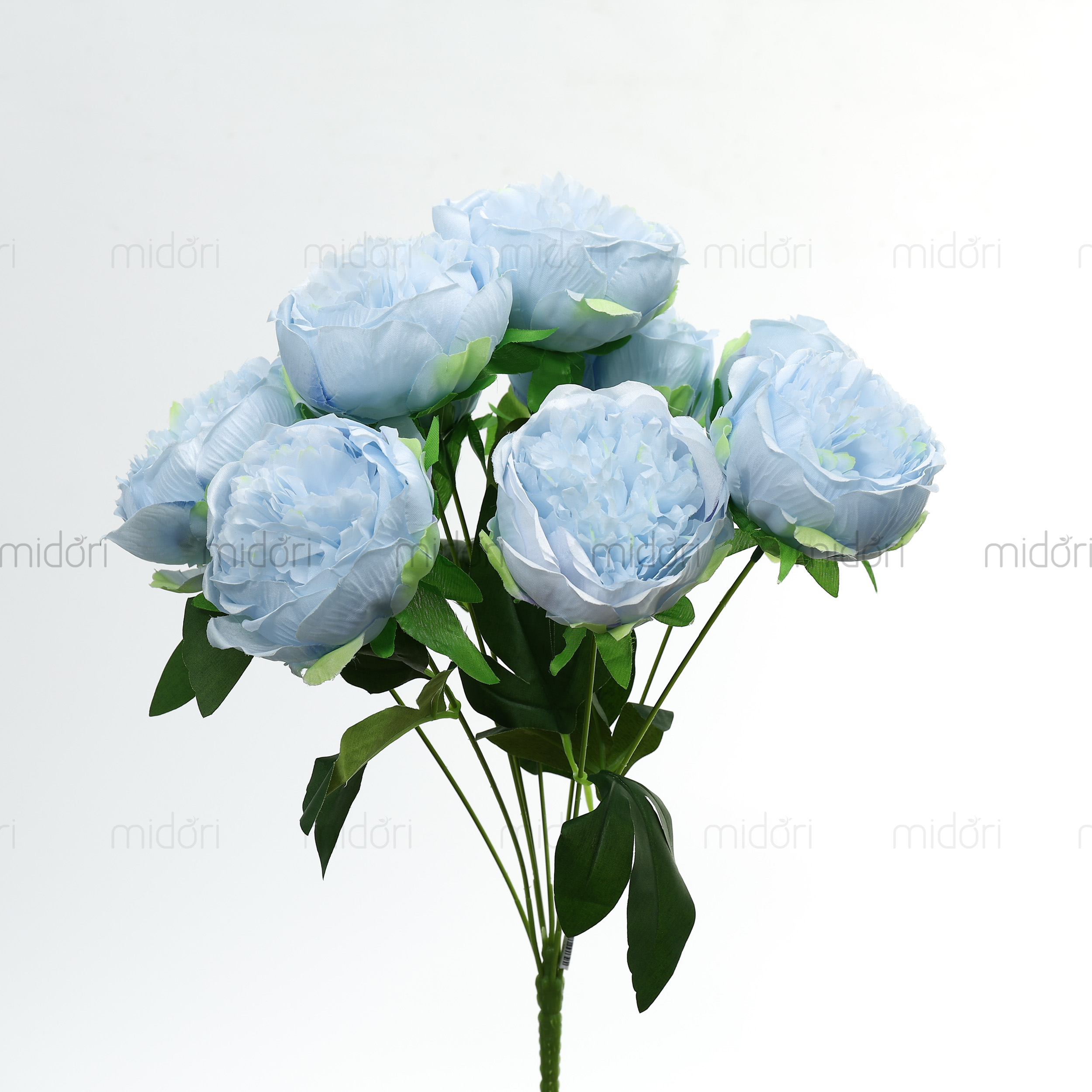 Hồng Eden Yi - Ảnh 2