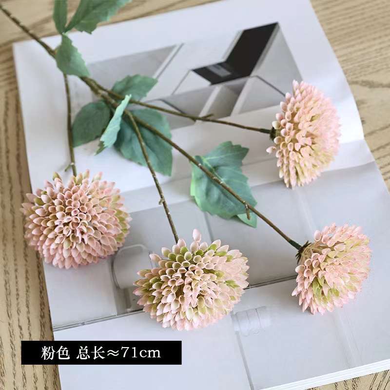 C. Thược dược tổ ong nhỏ - XIN - Ảnh 5