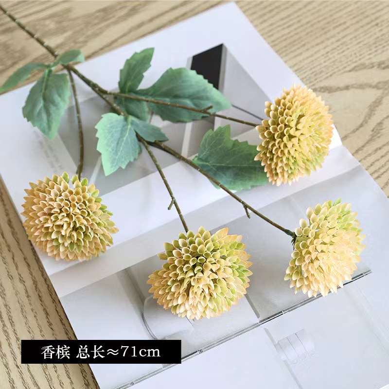 C. Thược dược tổ ong nhỏ - XIN - Ảnh 4