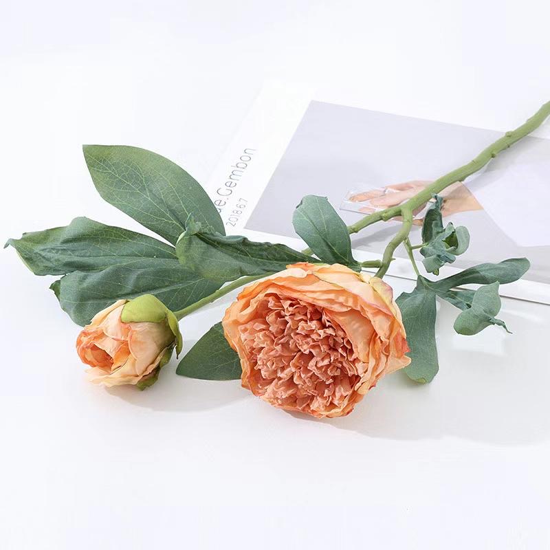 C. Mẫu đơn khô 1b1n - XIN - Ảnh 4