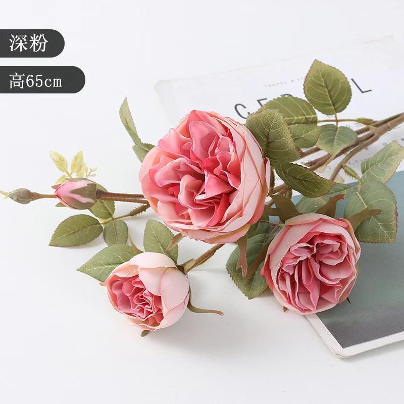 C. Hồng david 3b - XIN - Ảnh 4