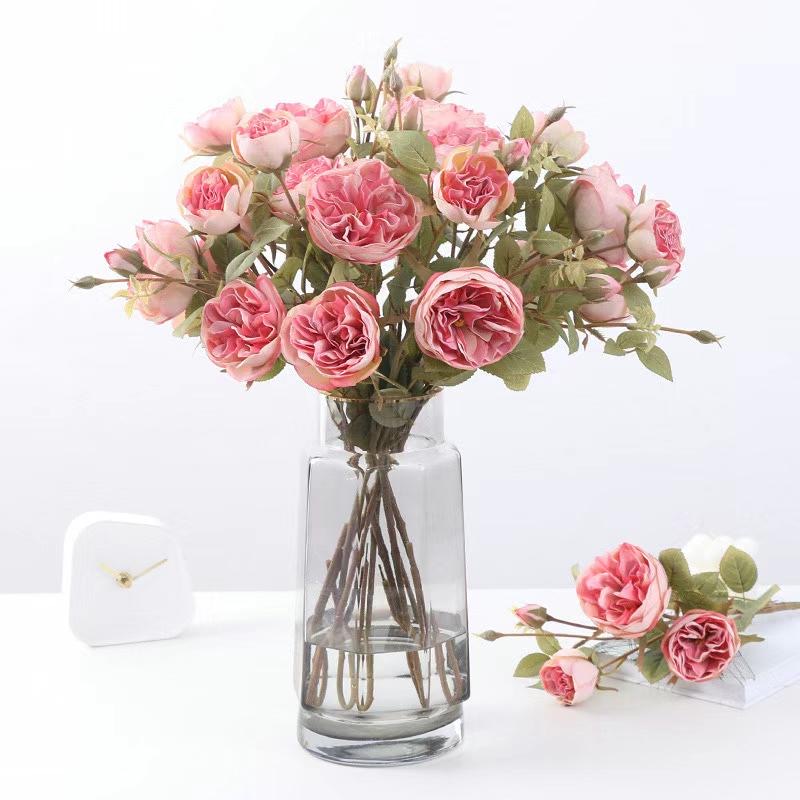 C. Hồng david 3b - XIN - Ảnh 6