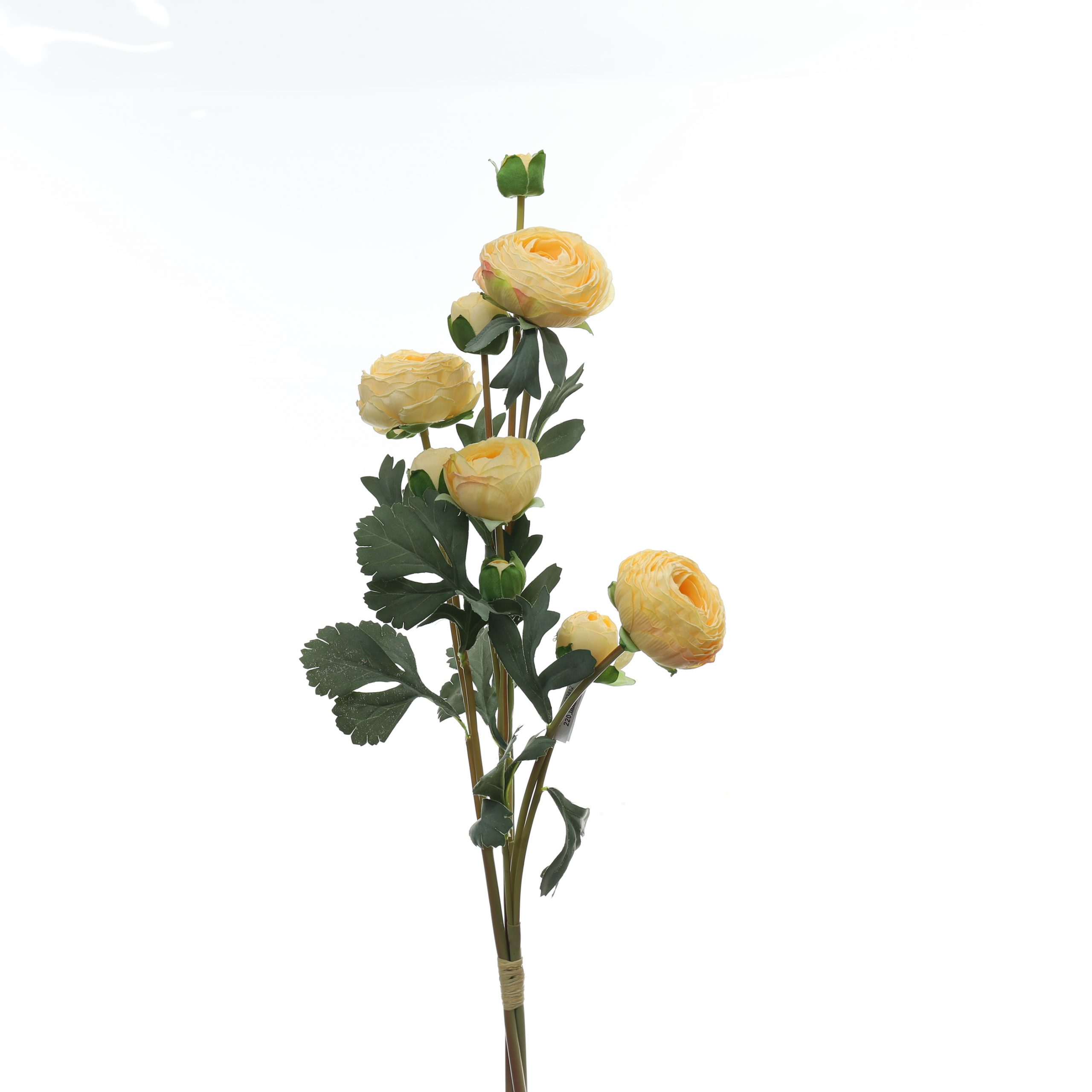Bó mao lương - XIN - Ảnh 5