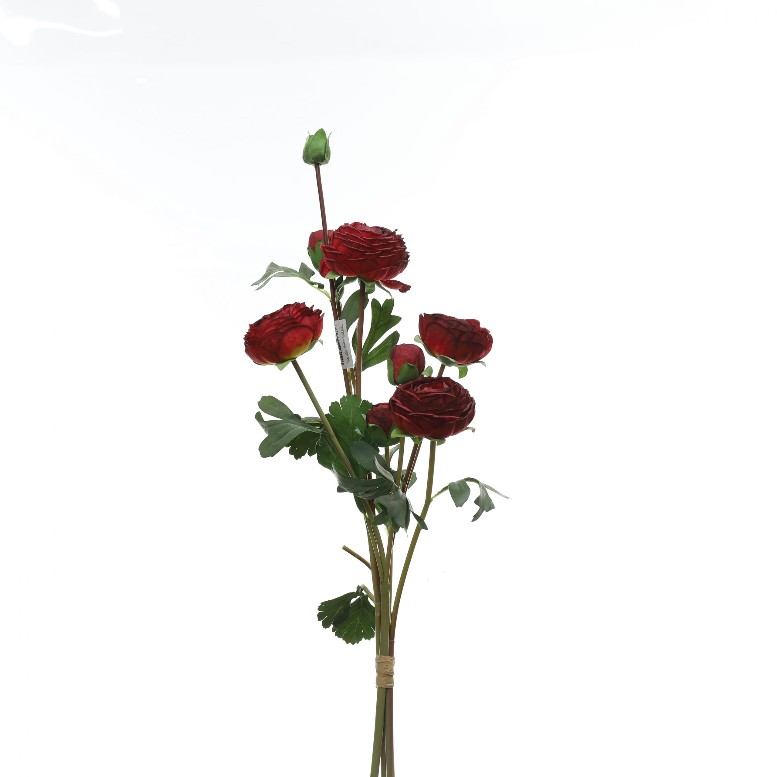 Bó mao lương - XIN - Ảnh 6