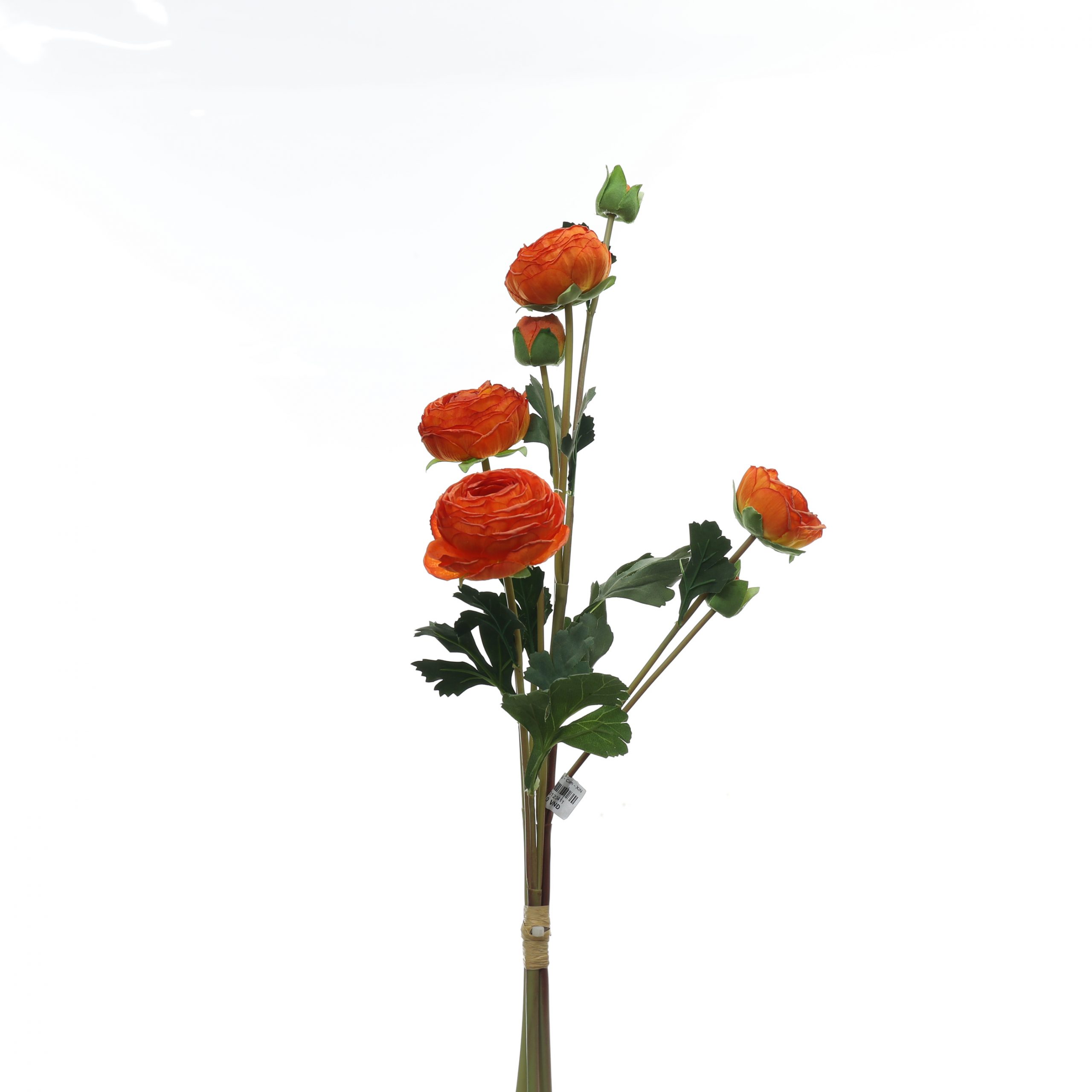 Bó mao lương - XIN - Ảnh 7