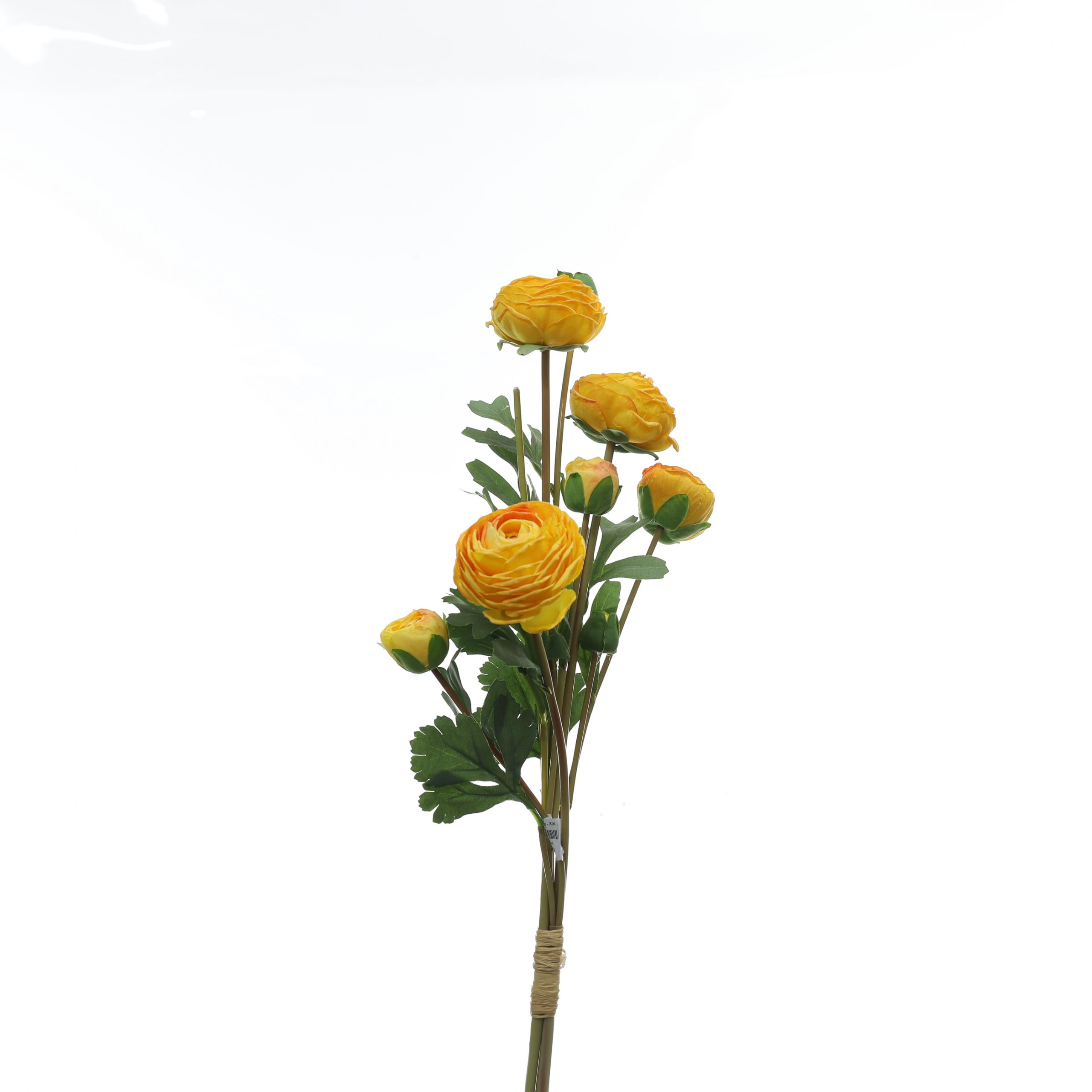 Bó mao lương - XIN - Ảnh 8