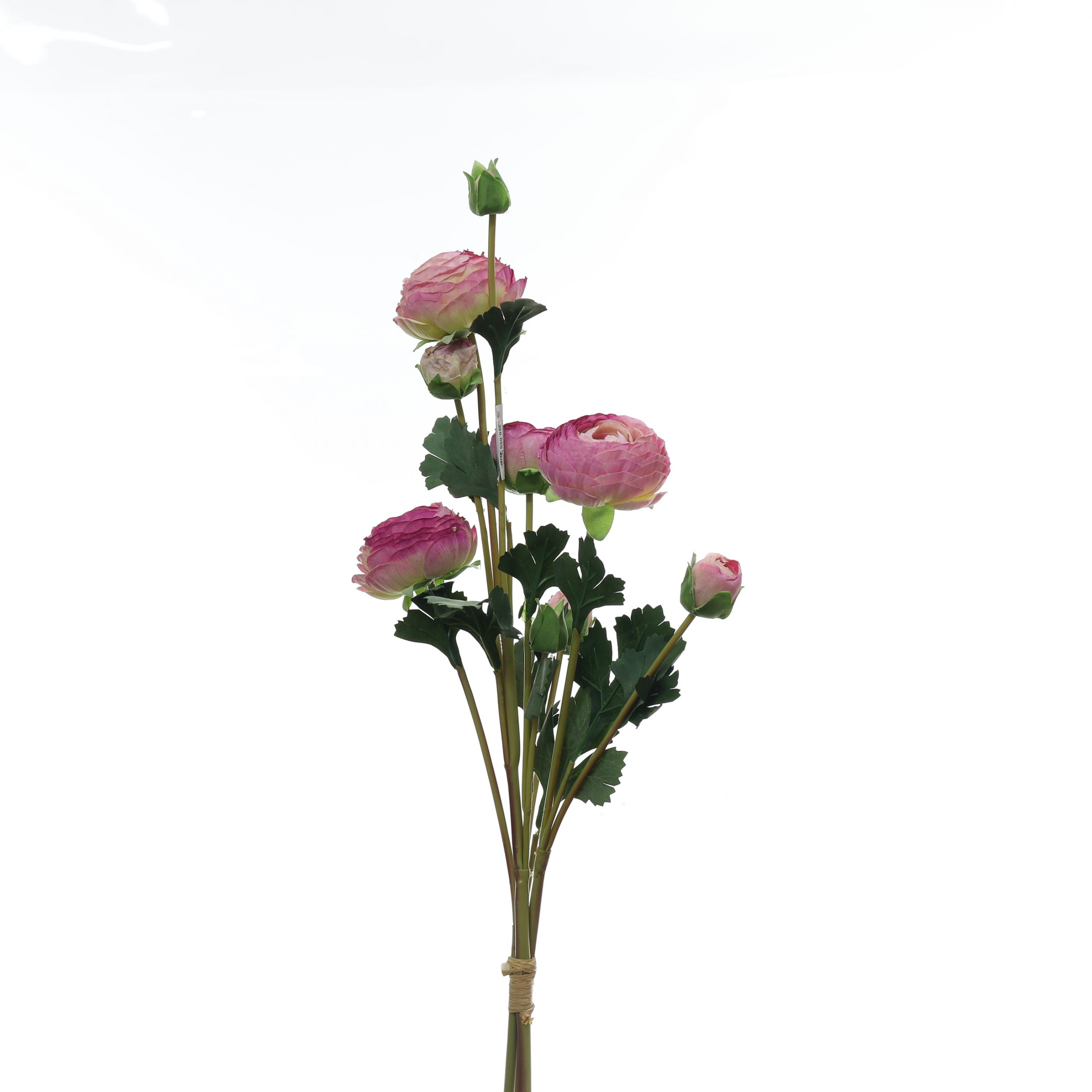 Bó mao lương - XIN - Ảnh 9