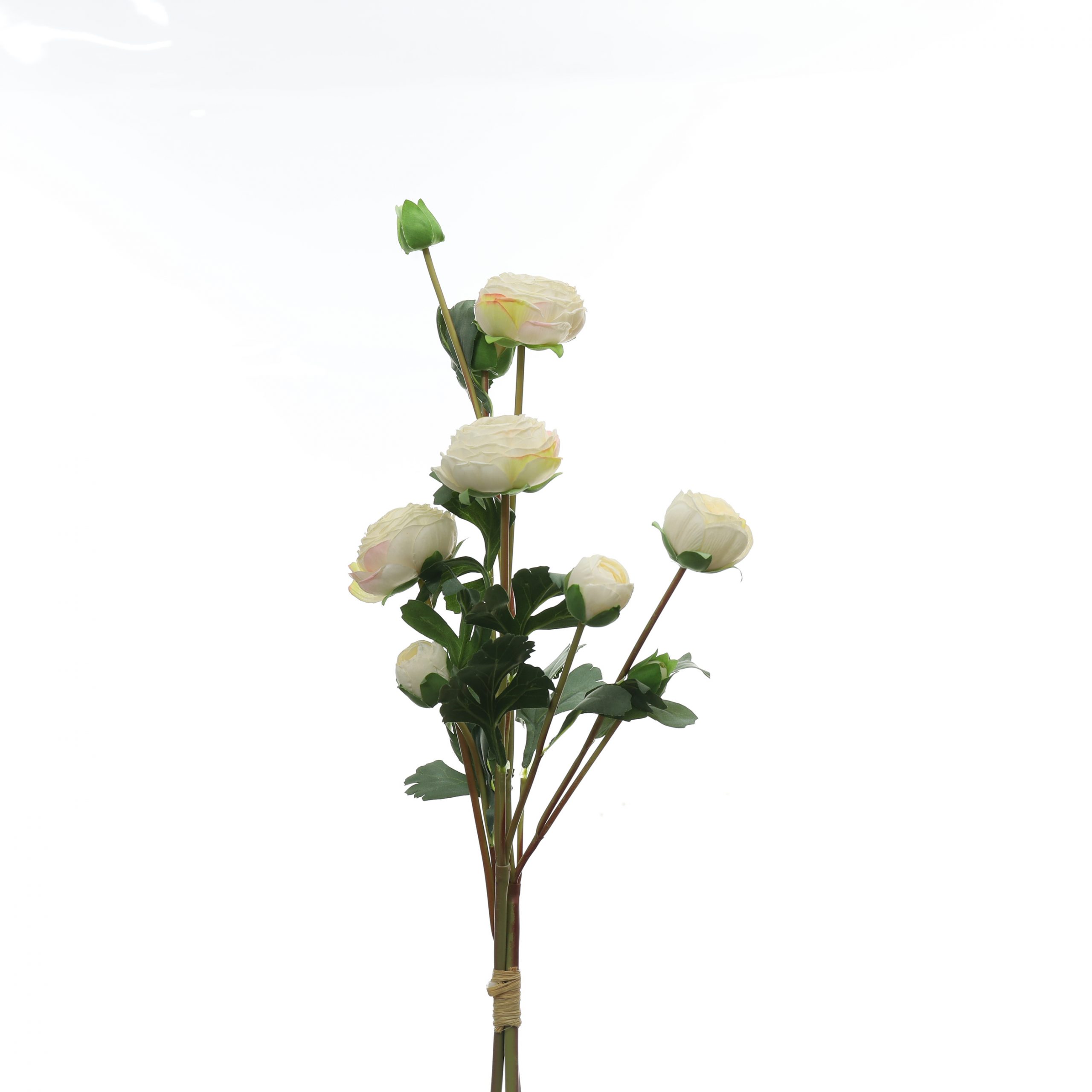 Bó mao lương - XIN - Ảnh 10
