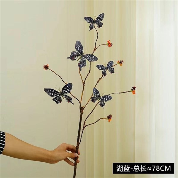 C.Bướm - XIN