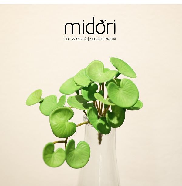 Sen đá lá may mắn - DU