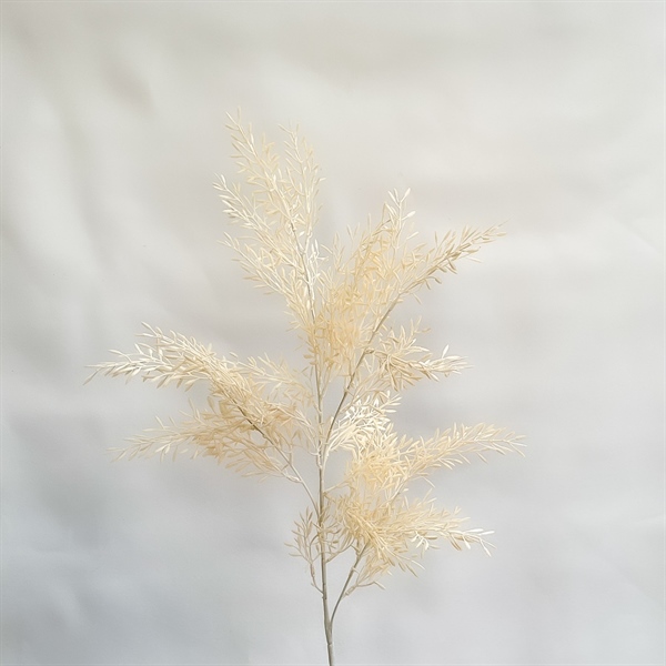 C.Thiên môn màu - RE - Ảnh 4