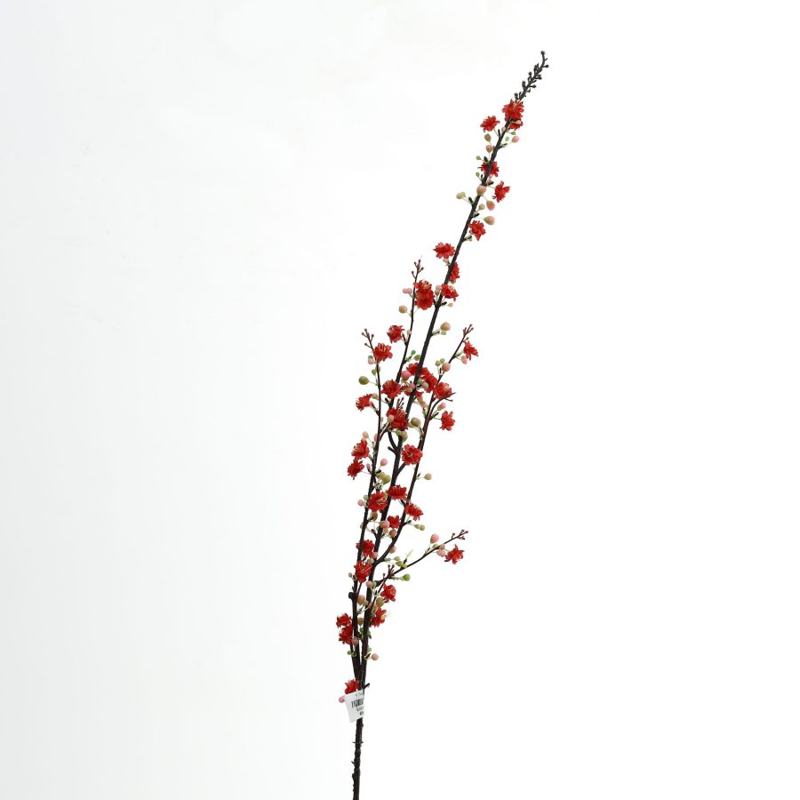 C. Tuyết mai - SA