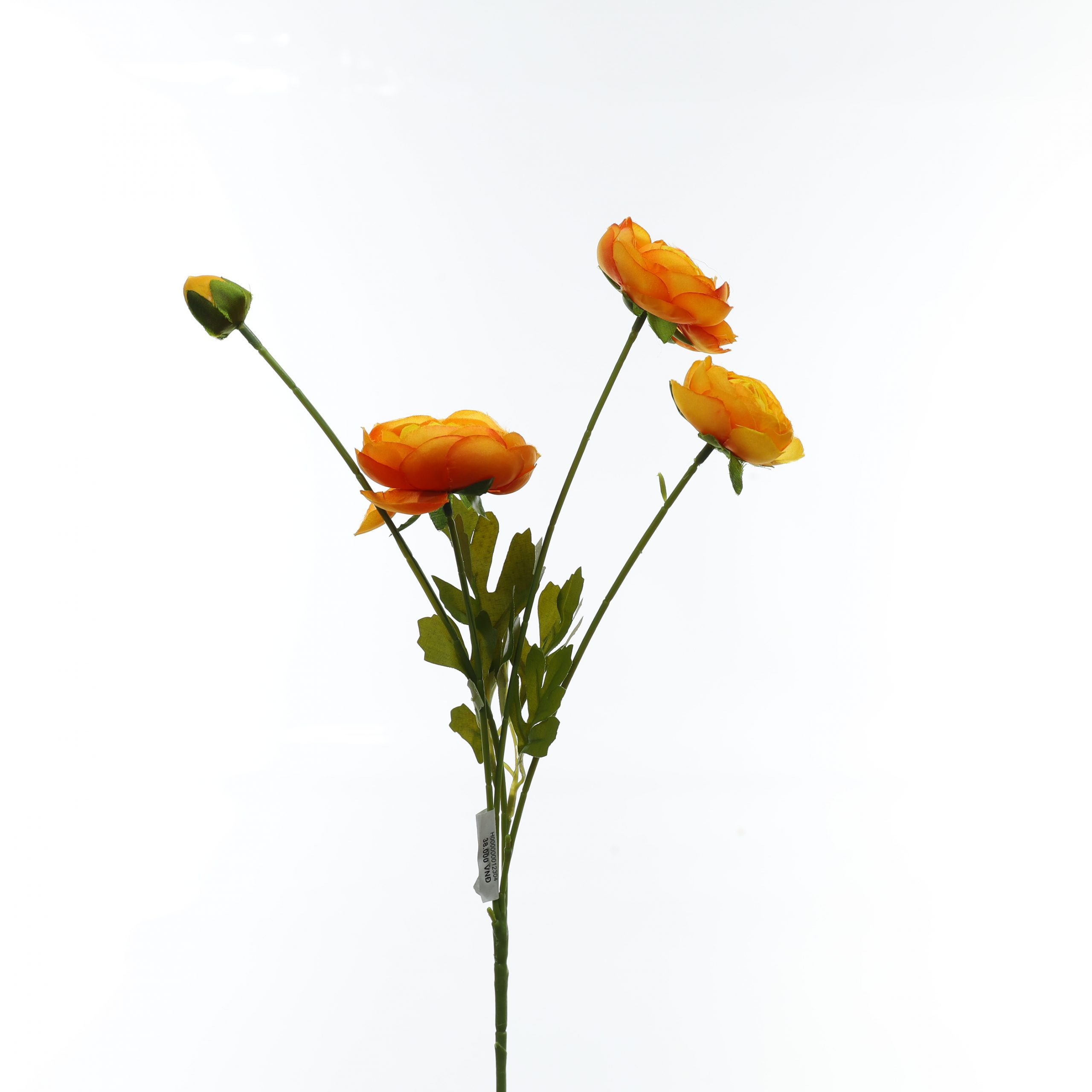 C.Mao lương - HN - Ảnh 5