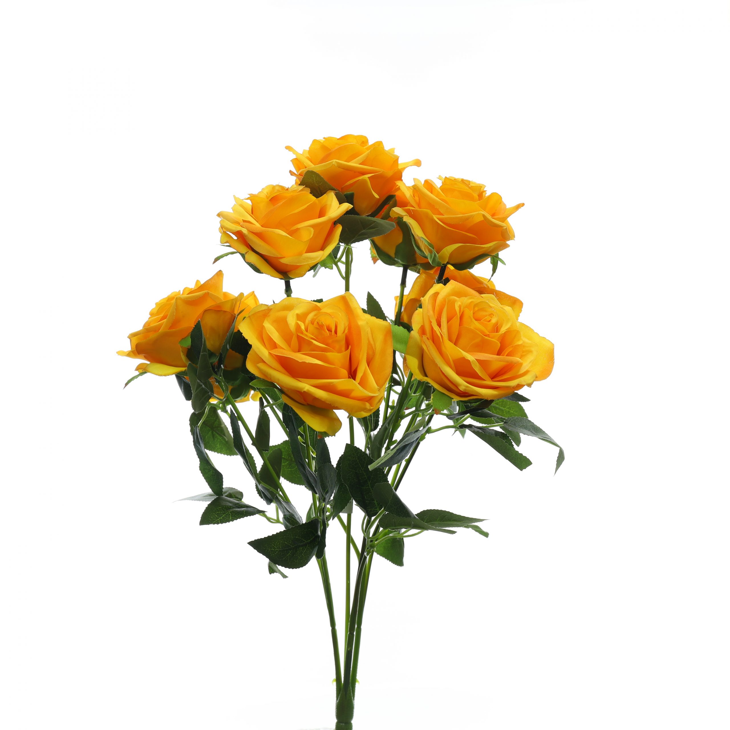 B. Hồng 10b - SA - Ảnh 2