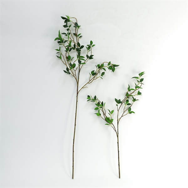 C. Lá đẹp - XIN