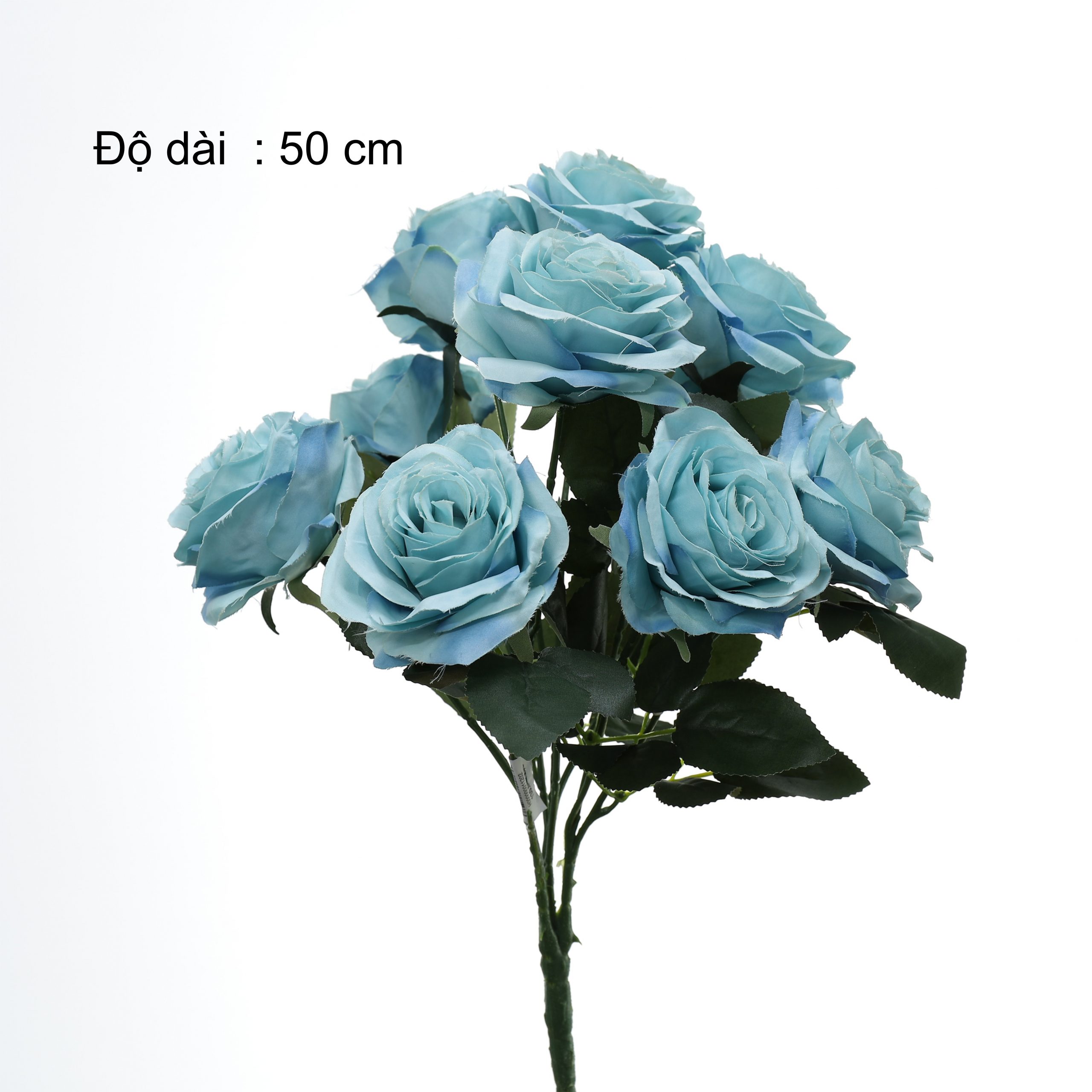 B. Hồng 10b - SA - Ảnh 4