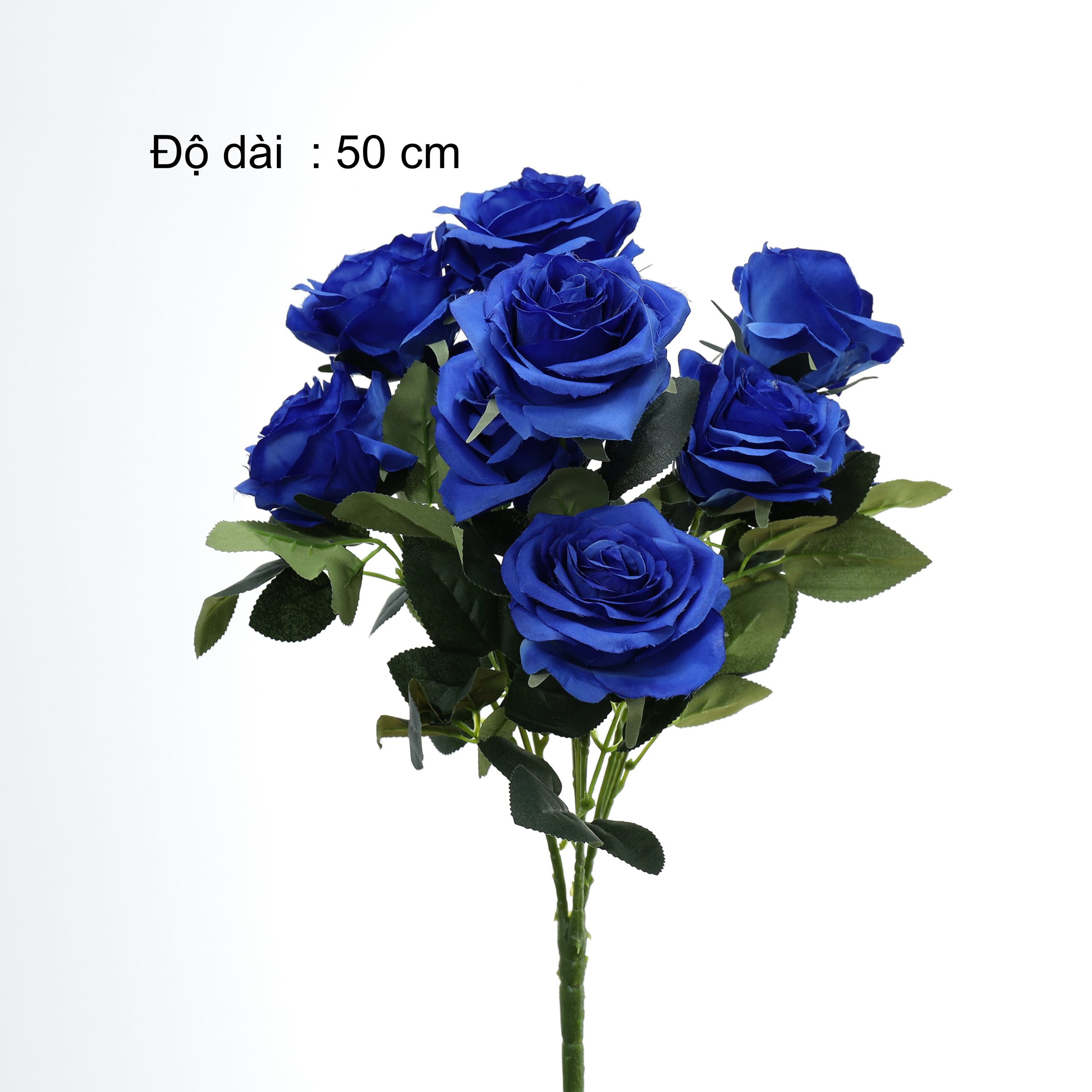 B. Hồng 10b - SA - Ảnh 7