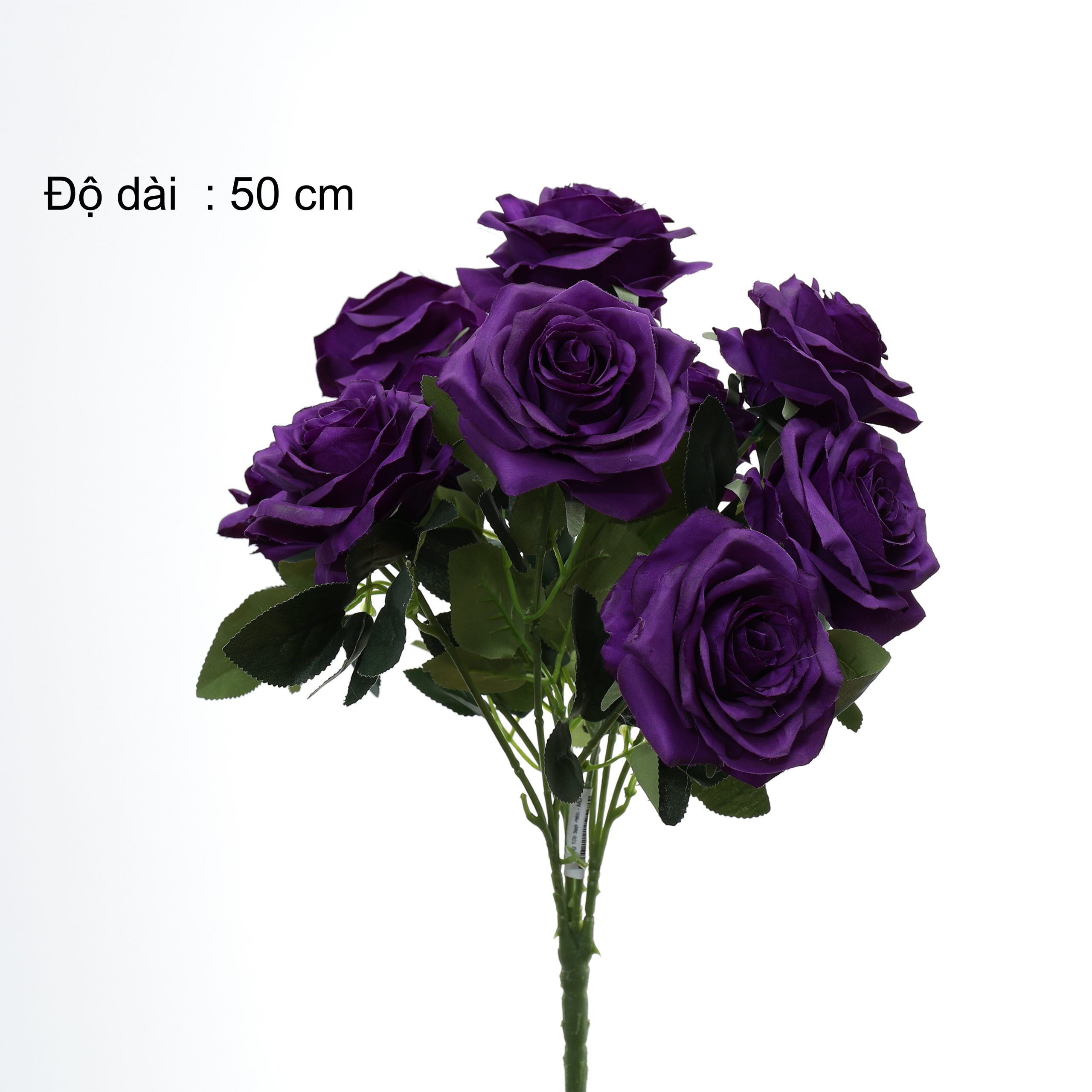 B. Hồng 10b - SA - Ảnh 9