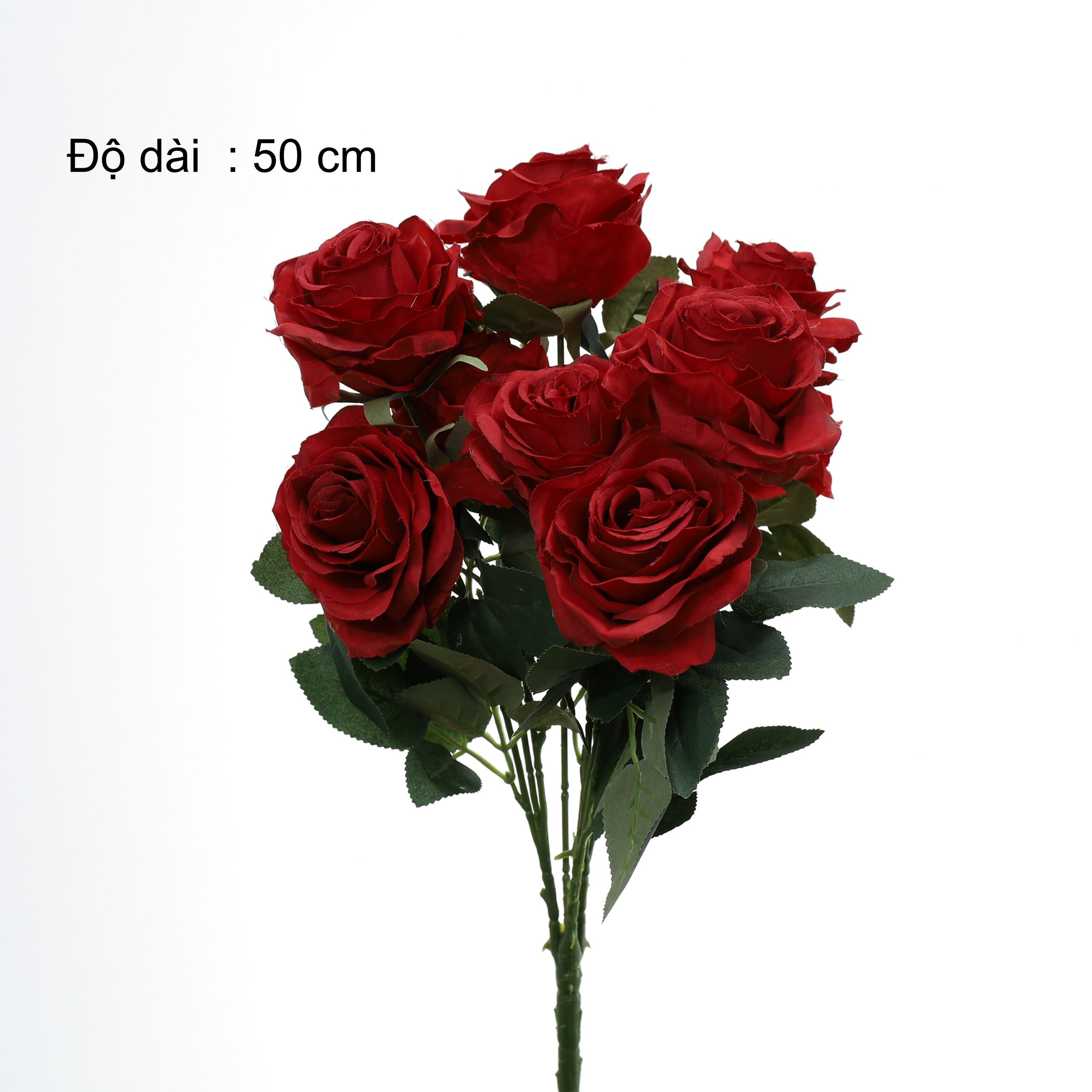B. Hồng 10b - SA - Ảnh 10