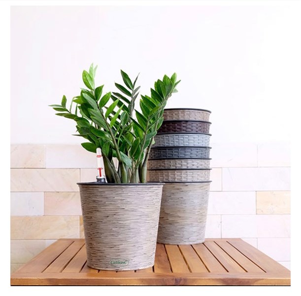 Chậu mỏng đan tròn 20x20x17
