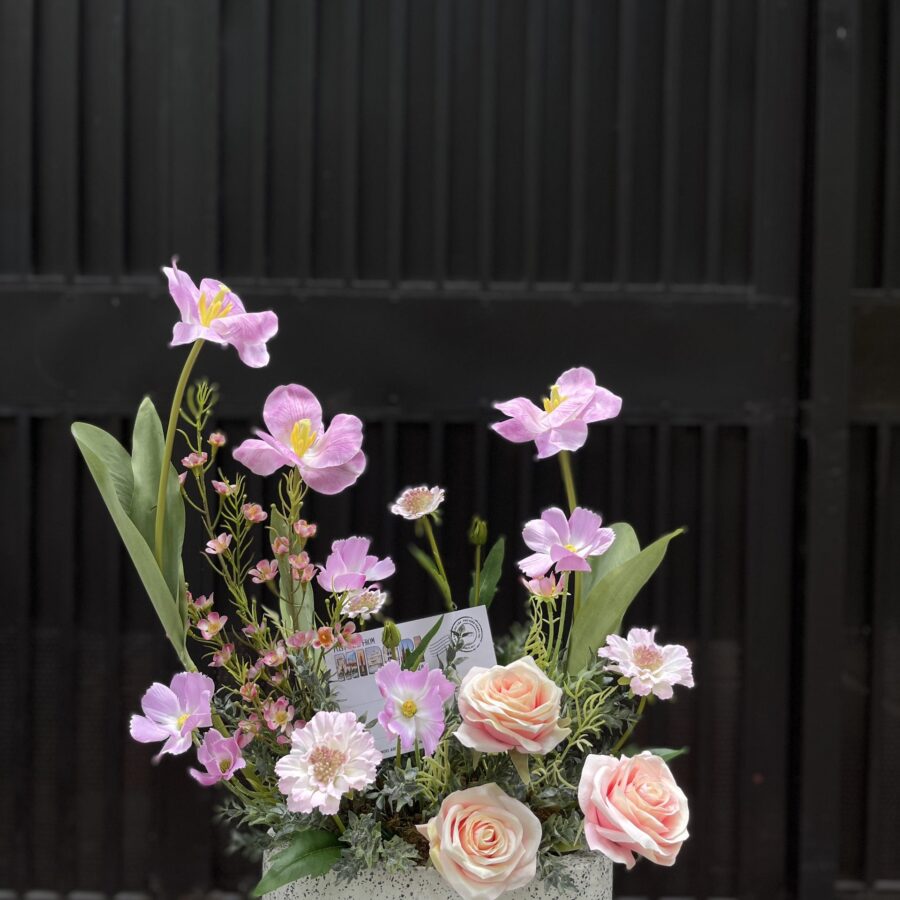 Chậu hoa tulip - LC