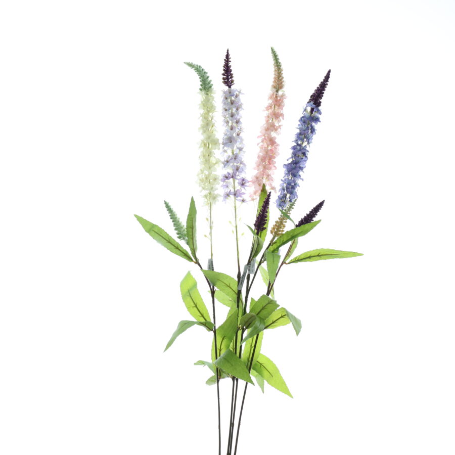 C. Lavender cao - XIN