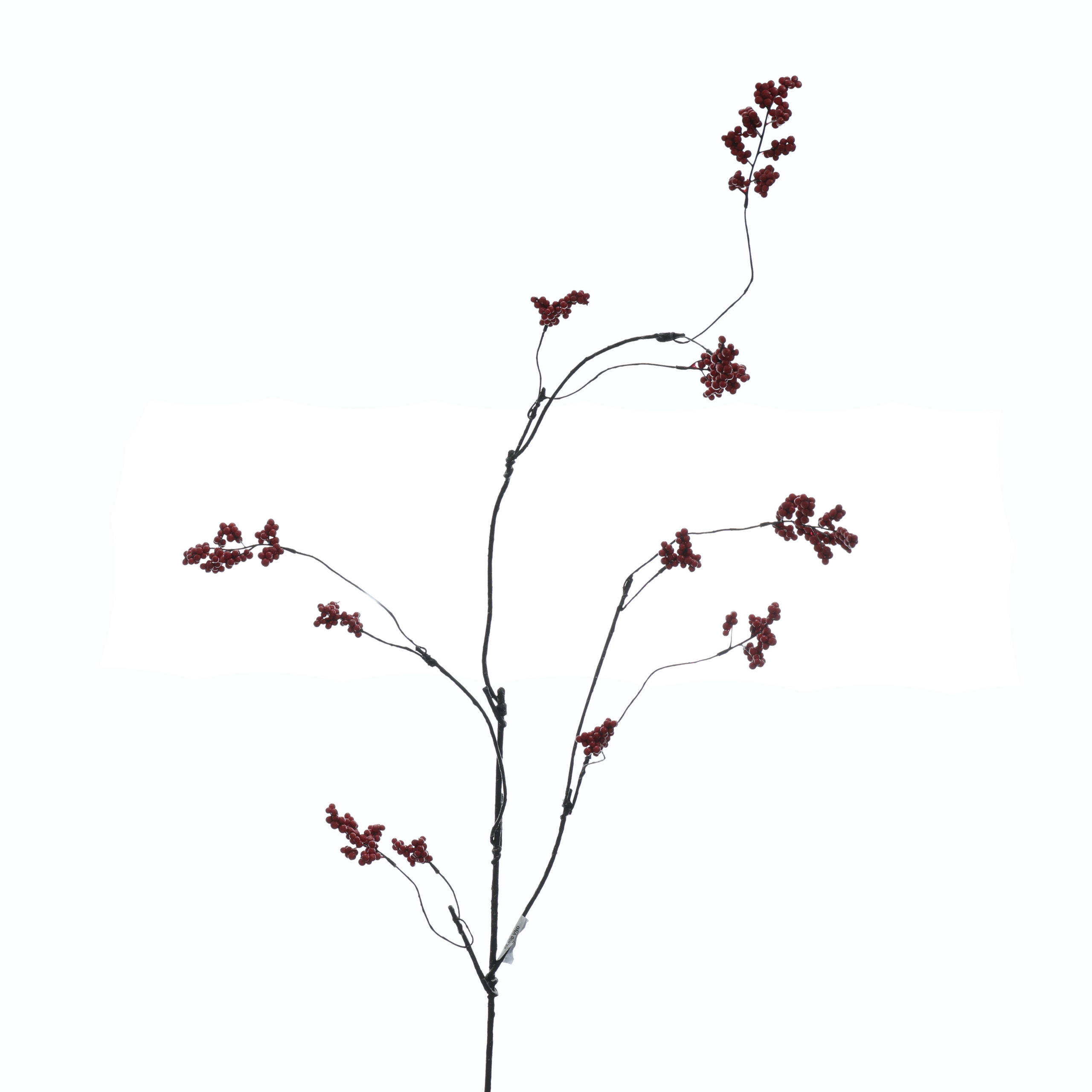 C. Dẻo có trái - XIN - Ảnh 3
