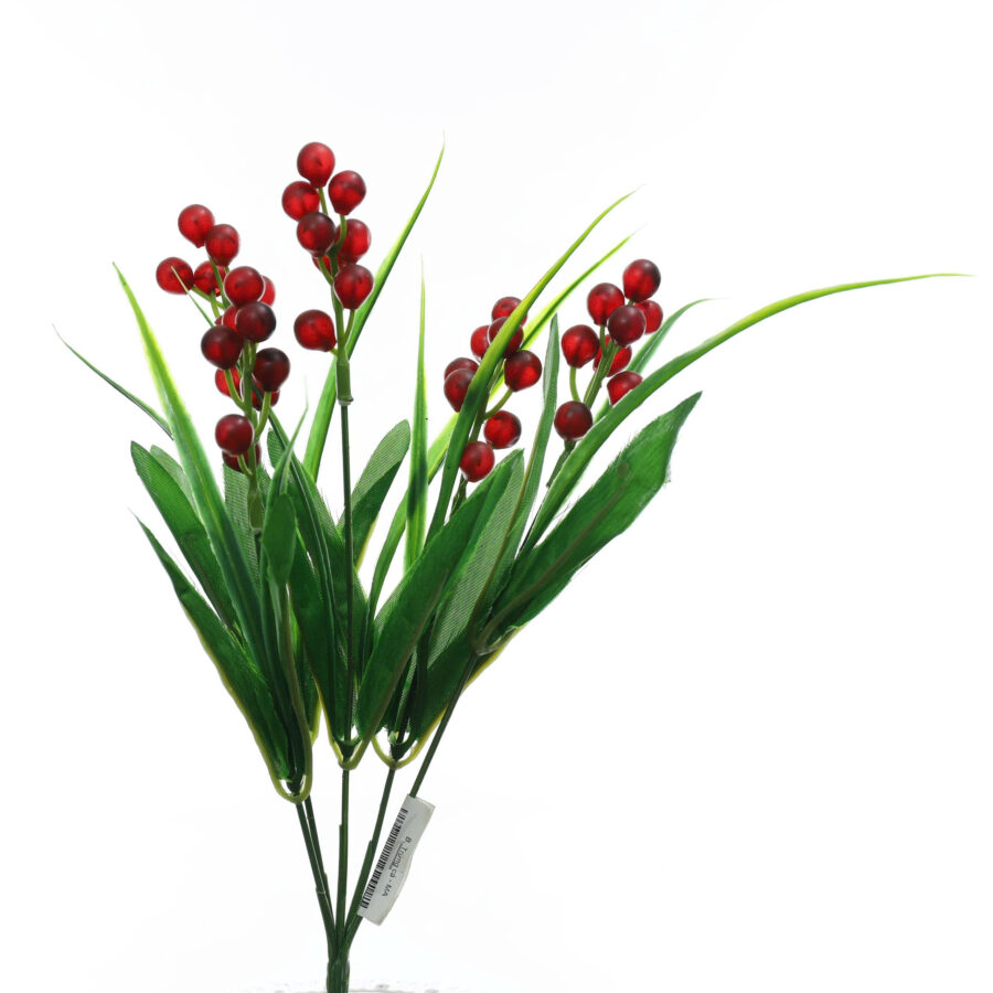 B. Trứng cá - MA